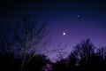 Nightsky with Moon, Venus and Aldebaran Royalty Free Stock Photo