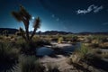 nighttime desert scene, with a full moon and starry sky above the oasis