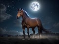 Nighttime Elegance: Graceful Horse in Moonlit Splendor