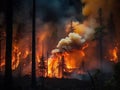 Nighttime forest ablaze, fierce flames thick smoke rising