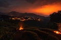 nighttime scene, with fiery sunset casting warm glow over tea plantation