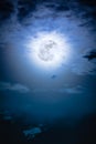 Nighttime sky with clouds and bright full moon with shiny. Royalty Free Stock Photo