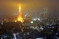 Nighttime view foggy of Tokyo Tower in Tokyo