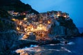 Nighttime View of Manarola, Cinque Terre