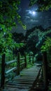 Nighttime wooden path under a moonlit sky and lush foliage Royalty Free Stock Photo