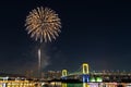 Nightview of Rainbow Bridge and fireworks Royalty Free Stock Photo