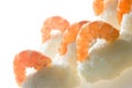 Nigiri sushi Royalty Free Stock Photo