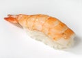 Nigiri-sushi with tiger shrimp, close-up, white background Royalty Free Stock Photo