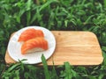 Nigiri Sushi in white dish on the wooden tray any green yard background natural  light. Royalty Free Stock Photo