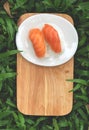 Nigiri Sushi in white dish on the wooden tray any green yard background natural  light. Royalty Free Stock Photo