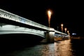 Nigth bridge in st.petersburg Royalty Free Stock Photo