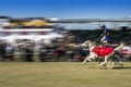 Nihang sikh riding 2 horse in a time