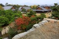 Nijo castle in colorful leaf and tree in japan Royalty Free Stock Photo