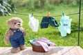 Teddy bear hanging laundry outdoor garden sunlight Royalty Free Stock Photo