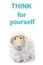 Think for yourself Message Toy sheep on white background