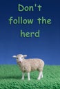 Do not follow the herd Sheep Text message Royalty Free Stock Photo