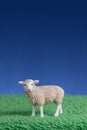 A toy sheep standing on artificial grass Copy space Royalty Free Stock Photo