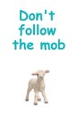 Isolated sheep with message Do not follow the mob Royalty Free Stock Photo