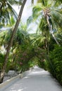 Nika Island Resort, Maldives Royalty Free Stock Photo