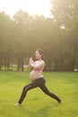 Asian Eastern Chinese young pretty pregnant girl woman do yoga stand in meditation, do lotus gesture of yoga outdoor nature sunset Royalty Free Stock Photo