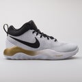 Nike Zoom Rev white, black and metallic gold sneake