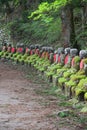 Nikko Japan - Kanmangafuchi forest Royalty Free Stock Photo