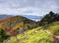 Nikko National Park Royalty Free Stock Photo