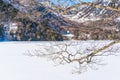 Nikko cover in snow at winter, Tochigi, Japan