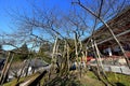 Nikkozan Rinnoji Temple (Buddhist complex with a renowned wooden hall)