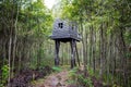 NIKOLO-LENIVETS, RUSSIA - SEP. 2015: Art-object `House above the forest`