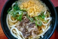 Savor the Richness of Niku Udon: A Hearty Blend of Beef and Noodles in a Flavorful Broth