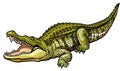 Nile crocodile Royalty Free Stock Photo