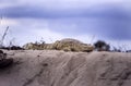 Nile Crocodile Royalty Free Stock Photo