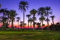 Nile river at sunset in Luxor, Egypt. Royalty Free Stock Photo