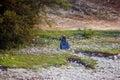 Nile River, near Aswnm, Egypt, February 21, 2017: Egyptian elder dressed in djellaba and turban sitting looking at the Nile river Royalty Free Stock Photo