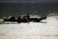 Nile River, near Aswnm, Egypt, February 21, 2017: Egyptian fisherman transporting two people in their boat in the middle of the Ni Royalty Free Stock Photo