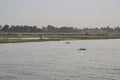 The Nile River in the vicinity of Luxor, Egypt, Africa with its crops, its boats, its towns and its cruise ships. Royalty Free Stock Photo