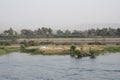 The Nile River in the vicinity of Luxor, Egypt, Africa with its crops, its boats, its towns and its cruise ships. Royalty Free Stock Photo