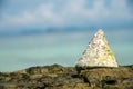 NILE TOP SHELL on the beach Royalty Free Stock Photo