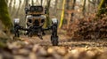 Nimble Bipedal Exploration Robot with Adaptive Camera in a Forest Royalty Free Stock Photo