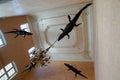 Nimes crocodiles on the main staircase of the town hall of NÃÂ®mes representing Egypt