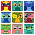 Nine amusing owl faces in square shapes