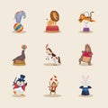 nine animals circus characters Royalty Free Stock Photo