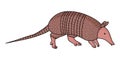 Nine Banded Armadillo illustration vector