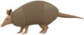 Nine-Banded Armadillo Side View