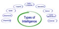 Types of Intelligence