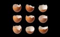 Broken eggshells arranged in a grid against a black background, transparent background, ai-generated Royalty Free Stock Photo