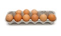 Nine brown eggs in box isolated