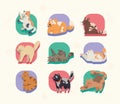 nine cats mascots