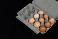 Nine chicken eggs in a carton box, isolated on black mat background Royalty Free Stock Photo